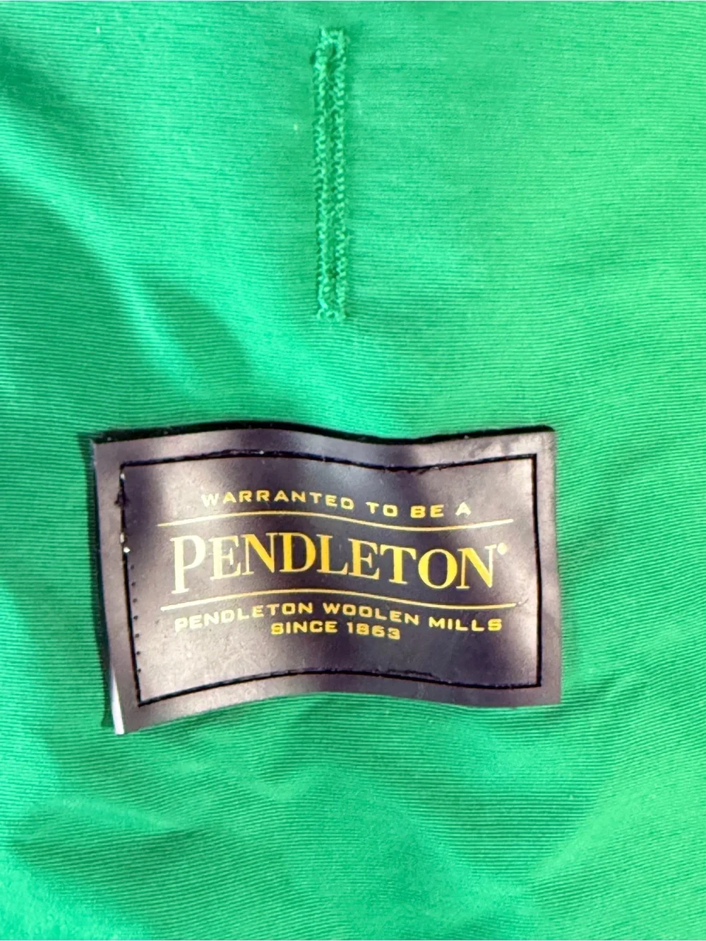 Pendleton dog raincoat